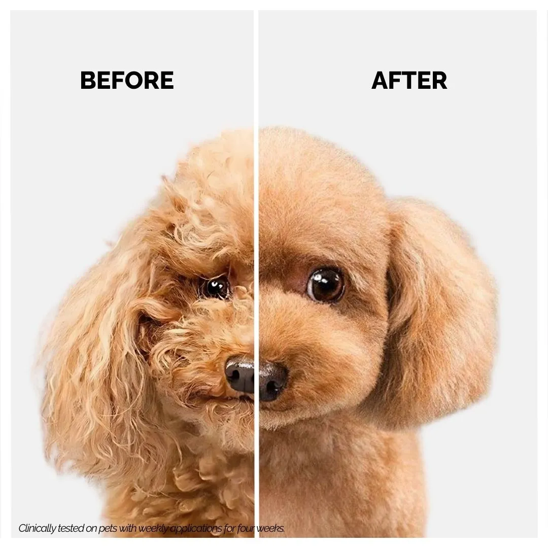 2 in 1 Shampoo plus Conditioner for Pets
