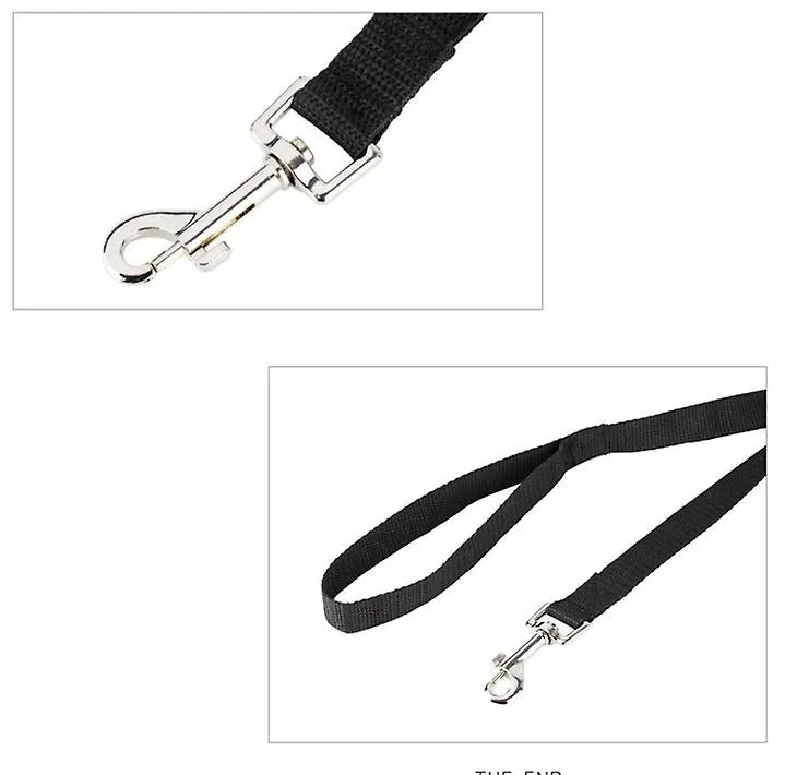 3m*2cm Grass green 50m pet dog leash,outdoor tracking leash For Large Dogs AZ213