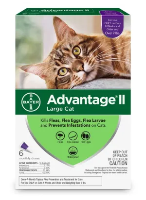 Bayer Advantage II Large Cat