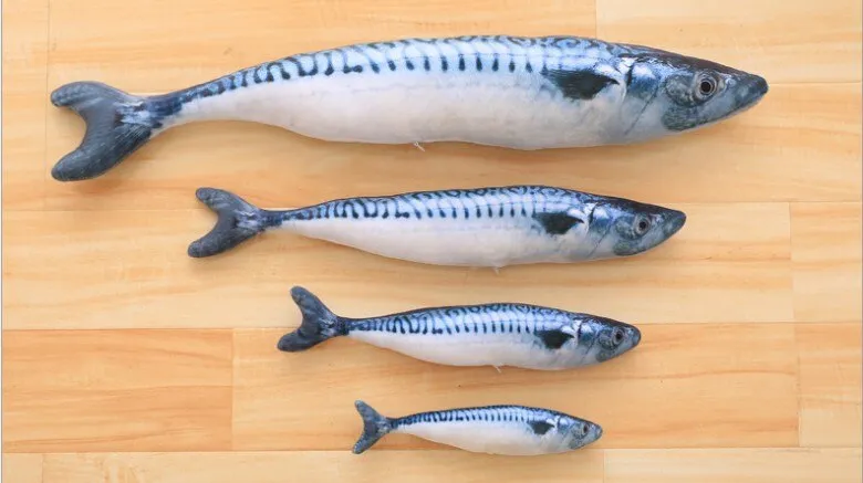 Best Realistic Looking Cat Fish Toy 3D Artificial Cat Catnip Fish Toys