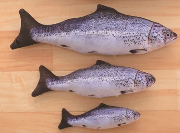 Best Realistic Looking Cat Fish Toy 3D Artificial Cat Catnip Fish Toys