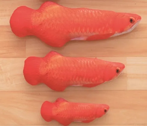 Best Realistic Looking Cat Fish Toy 3D Artificial Cat Catnip Fish Toys