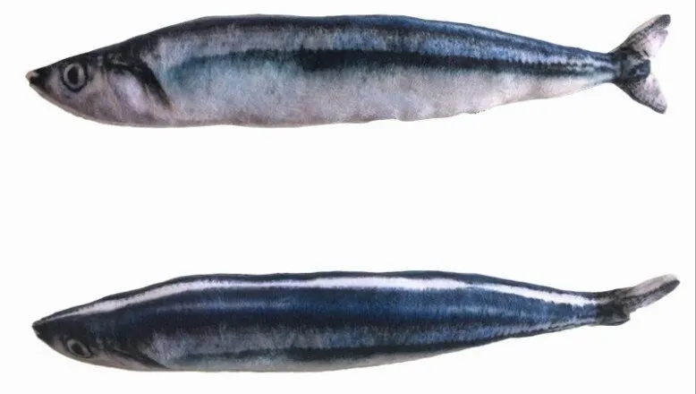 Best Realistic Looking Cat Fish Toy 3D Artificial Cat Catnip Fish Toys