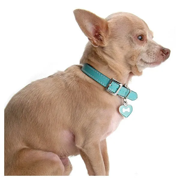 Black & Aqua Leather Collar