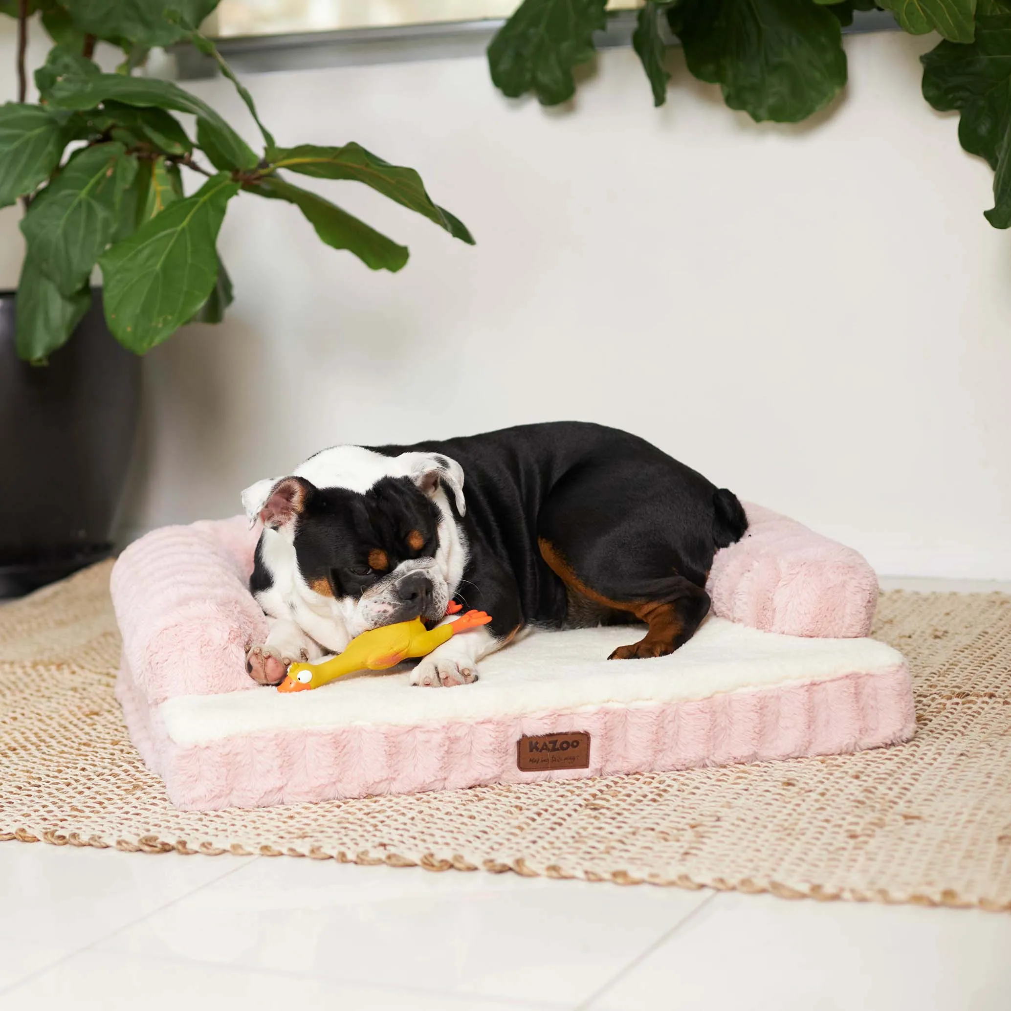 Boudoir Dog Bed - Blush
