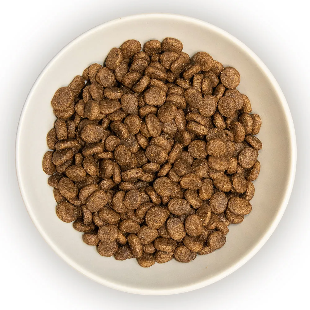Burns | Original Grain Free Sensitive Cat Food | Gluten Free Duck & Potato - Adult & Senior