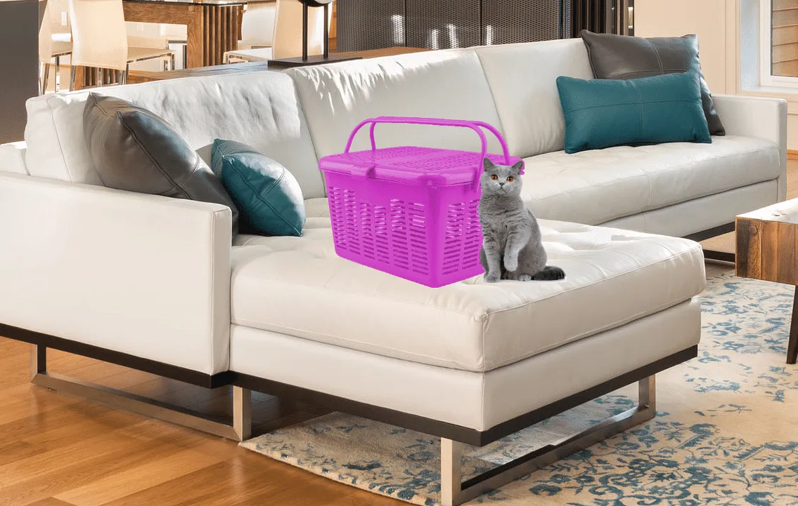 Cat & Pet Carrier For Scared & Special Needs Cats - (Last Pet Carriers Available-We Will No Longer Carrier Anymore)Generous Wide Opening, Top Loading Hard Carriers for Cats & Small Animals - in Pink, Blue, Orange & Purple