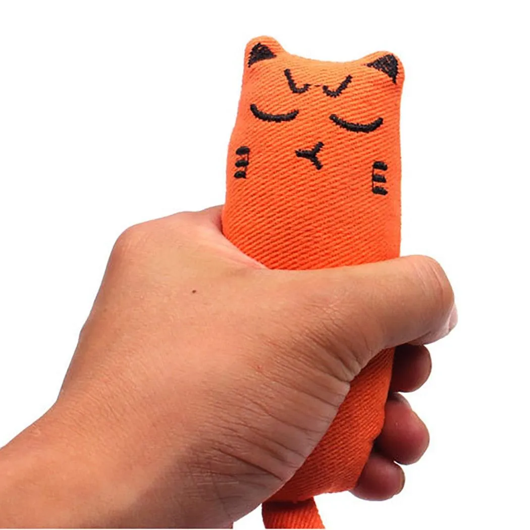 Cat Grinding Catnip Toys