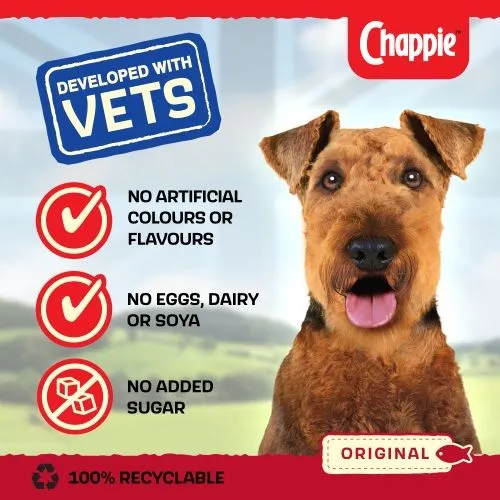 Chappie Adult Original Wet Dog Food Can 12 x 412g