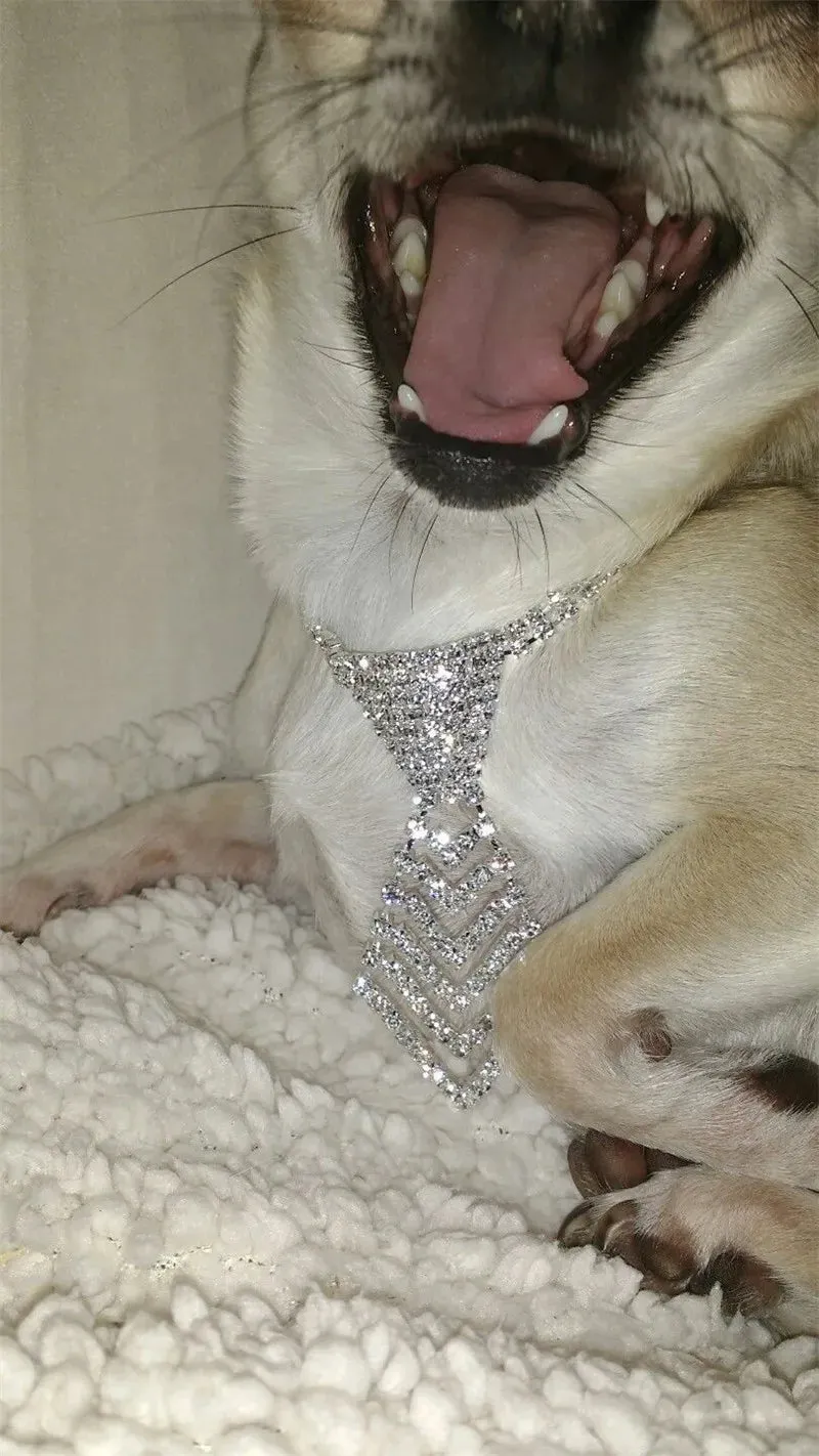DAPPER Pet Adorable Rhinestone Tie