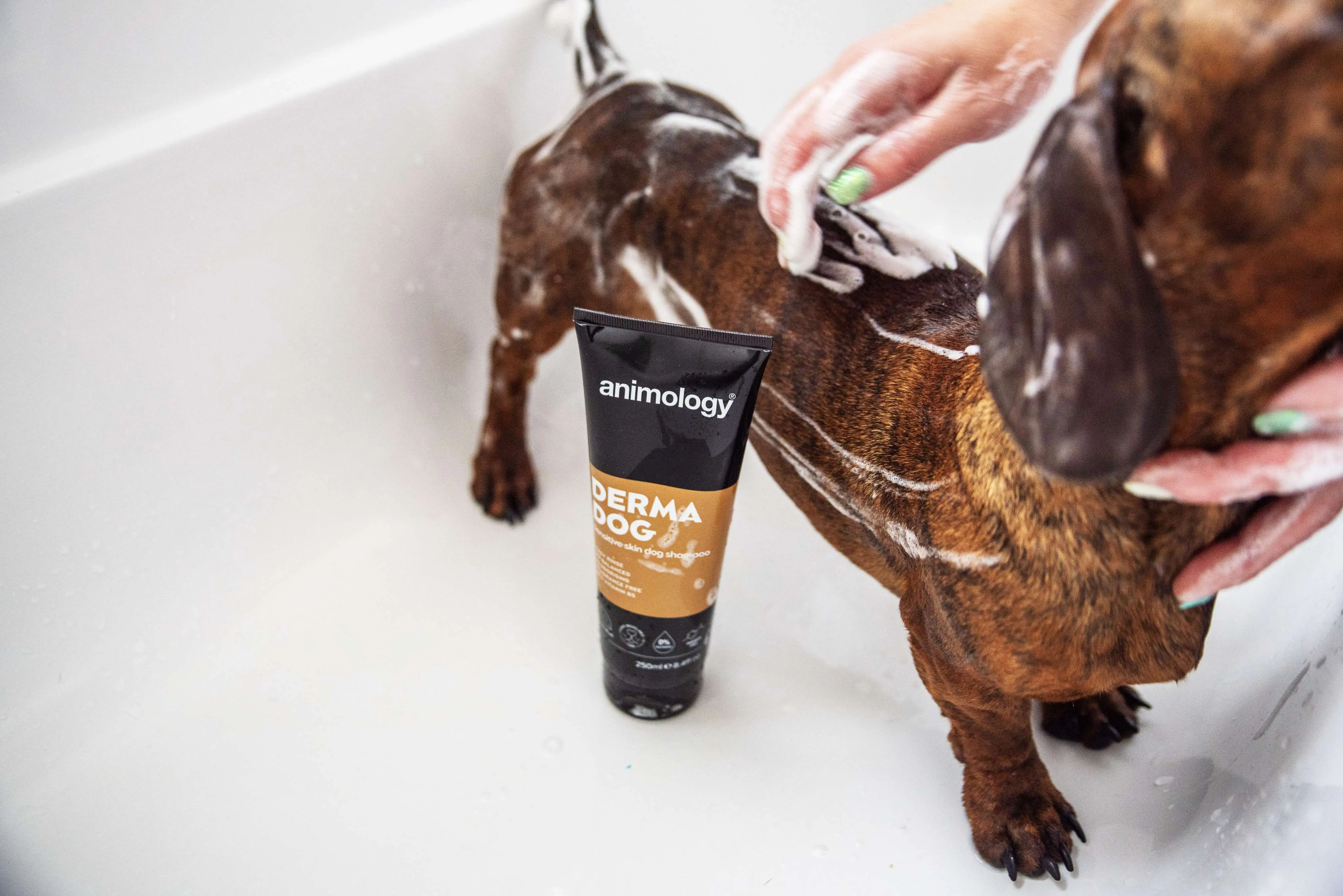 Derma Dog Sensitive Skin Dog Shampoo 250ml