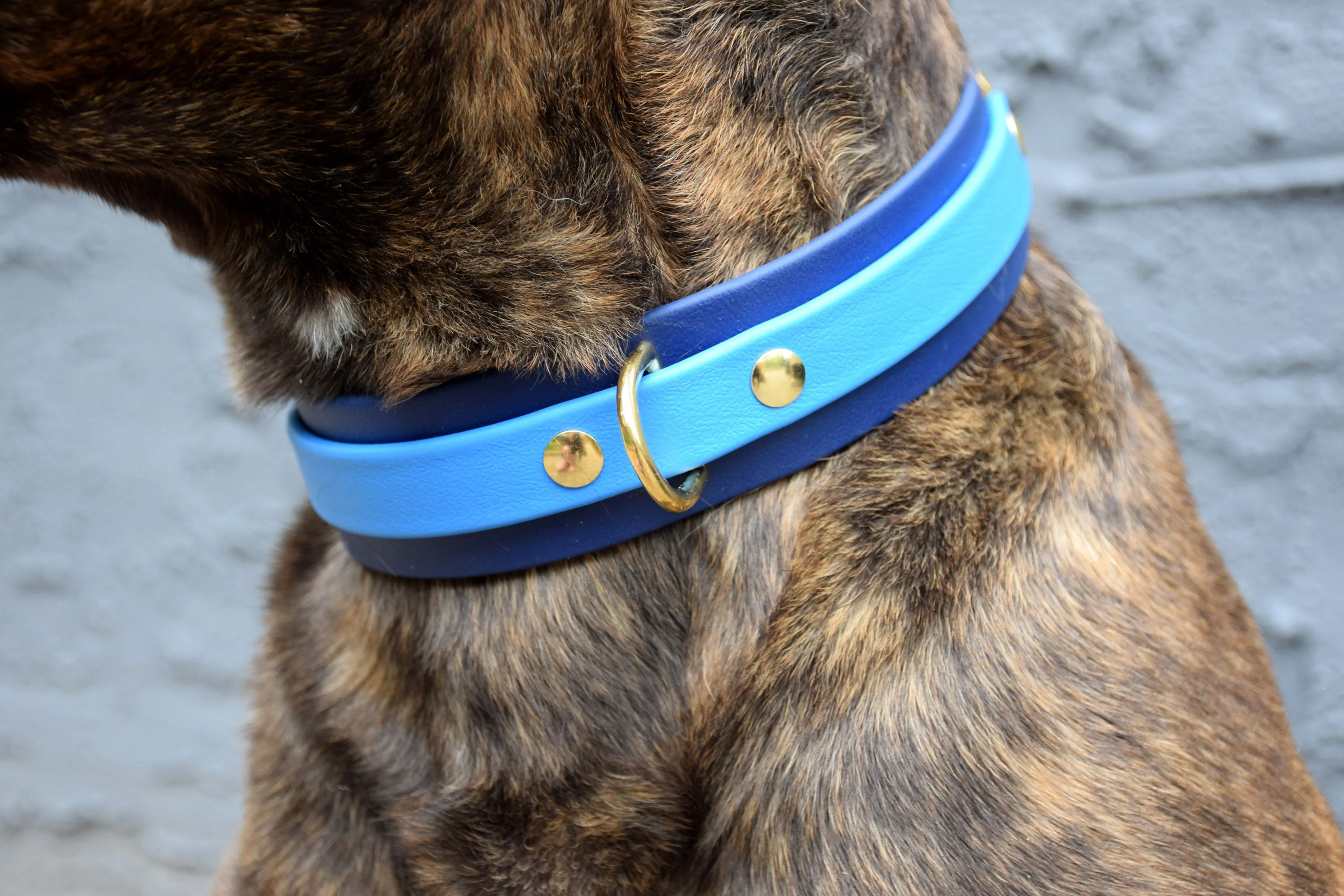 Design Your Own - The Two-Toned Undomiel BT Collar, 1.5" Wide Biothane Dog Collar