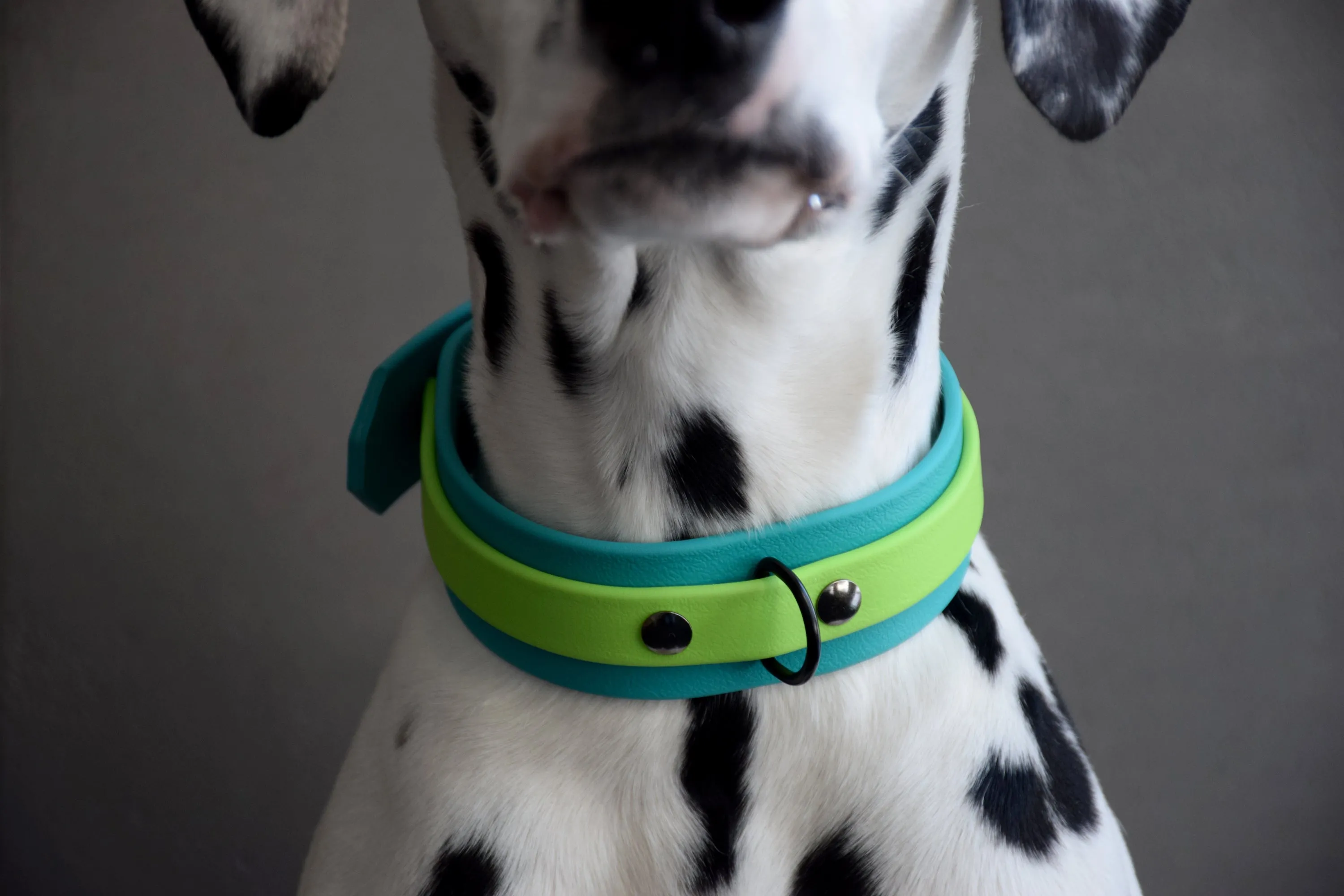Design Your Own - The Two-Toned Undomiel BT Collar, 1.5" Wide Biothane Dog Collar