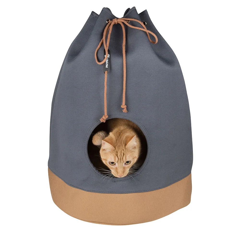 District 70 - CASA Cat House (Cognac)