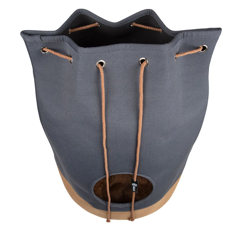 District 70 - CASA Cat House (Cognac)