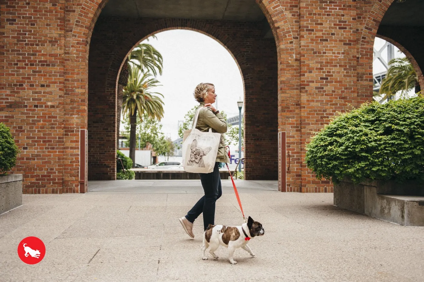 Dog Rule #1: Blame The Cat! Tote Bag