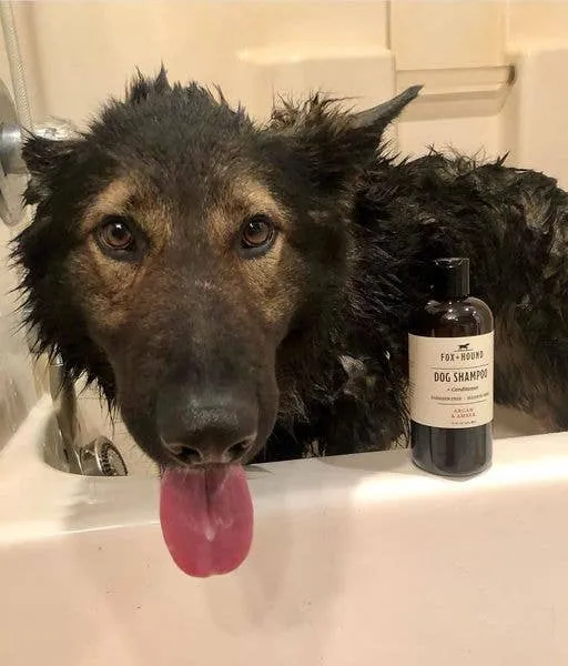 DOG SHAMPOO   CONDITIONER FOX   HOUND ARGAN & AMBER
