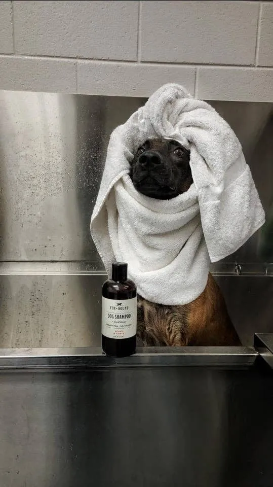 DOG SHAMPOO   CONDITIONER FOX   HOUND ARGAN & AMBER