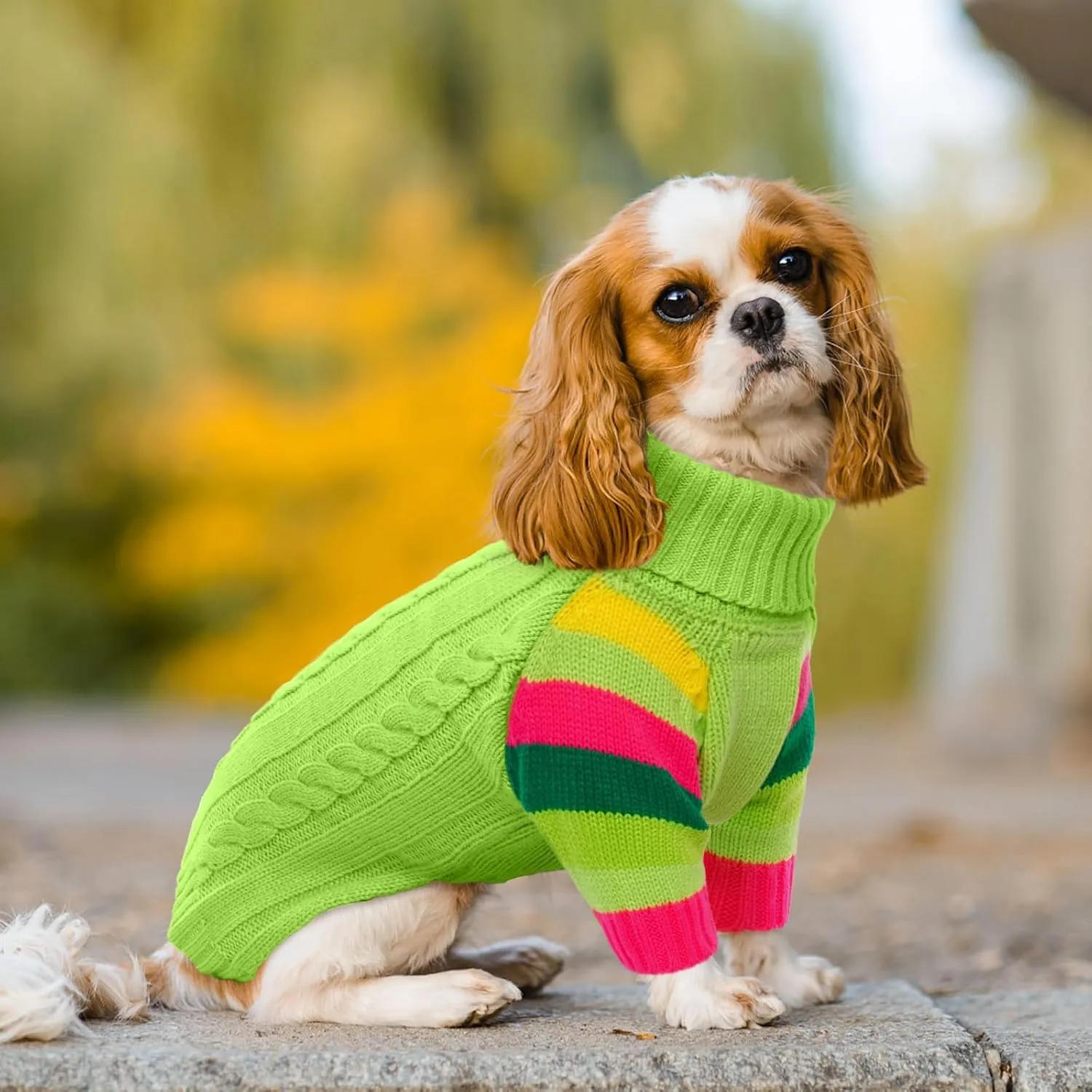Dog Sweater Thick, Sweaters for Large Size Dogs Comfy, Stretchy Pullover Dog Sweater for Large Doggie, Christmas Dogs Sweaters Unisex, Warm Pet Knitwear Boston Terrier, Frenchie (Green L)
