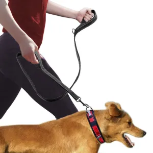 Double Handle Heavy Duty Dog Leash for Control, Safety and Training