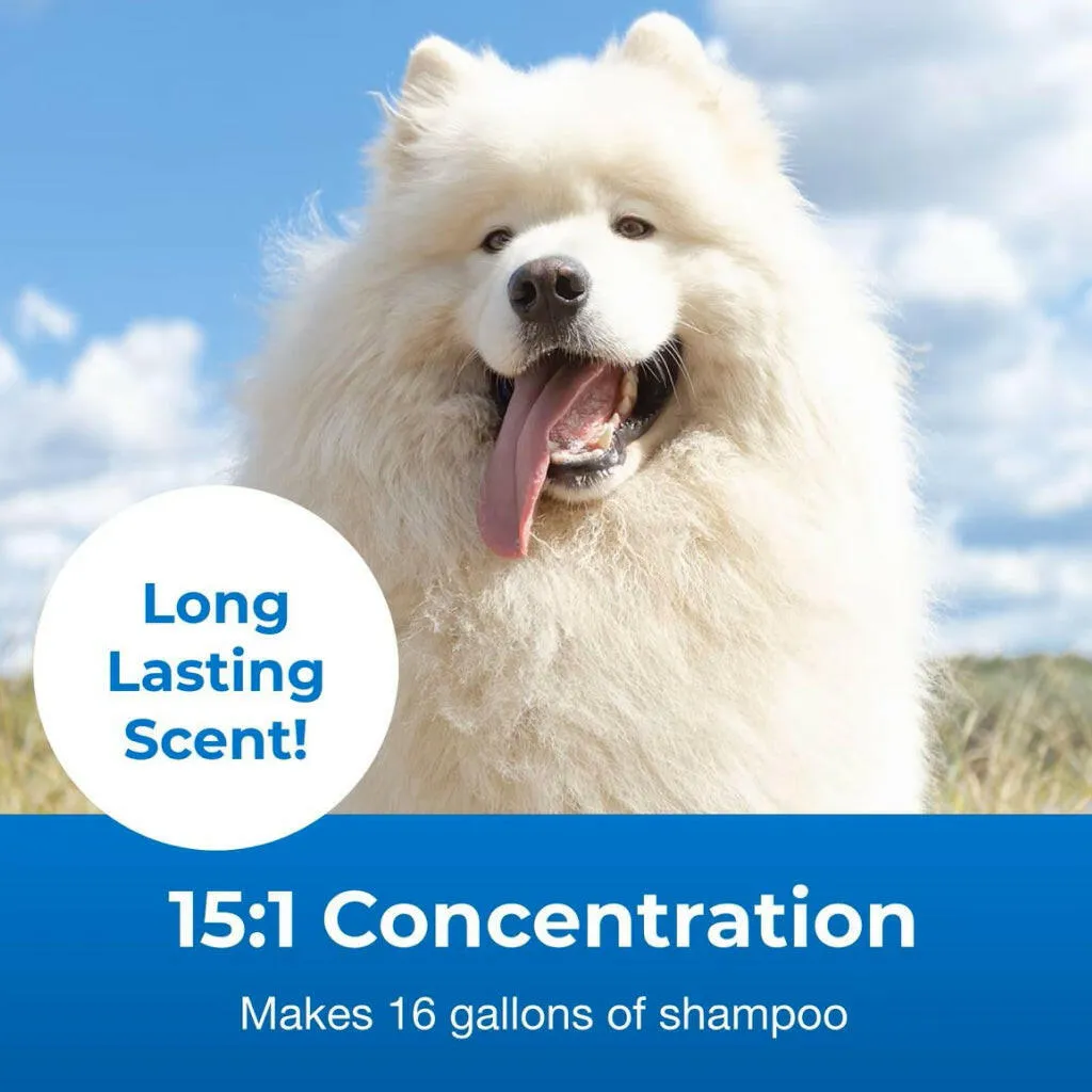 Fresh 'n Clean Concentrated Snowy-Coat Whitening Shampoo for Dogs (Gallon)