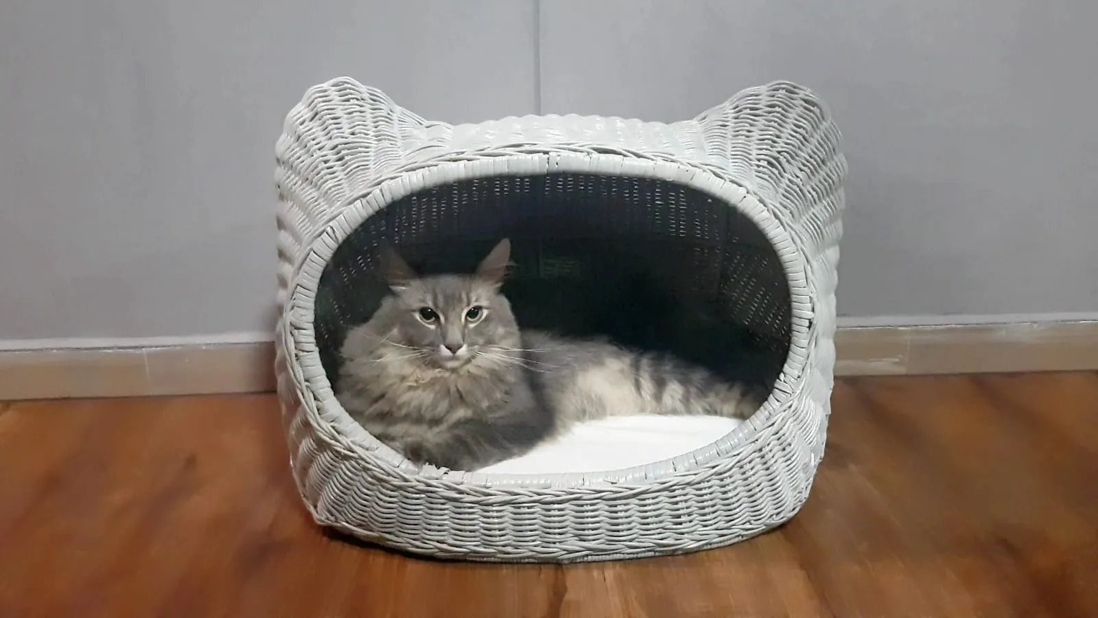 Furnish Niko Cat Bed (Ash Grey)
