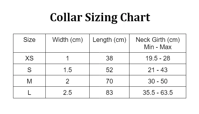 Galaxy Pet Collar with Metal Buckle
