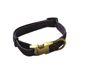 Galaxy Pet Collar with Metal Buckle