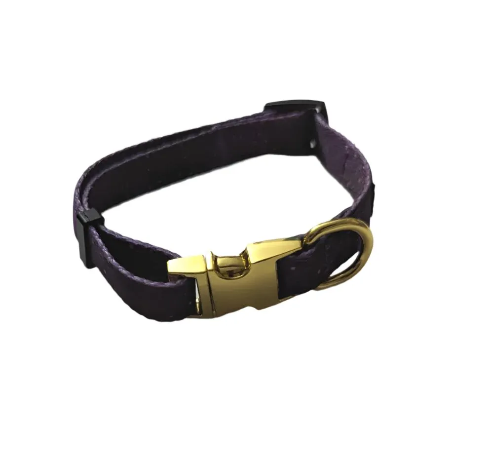 Galaxy Pet Collar with Metal Buckle
