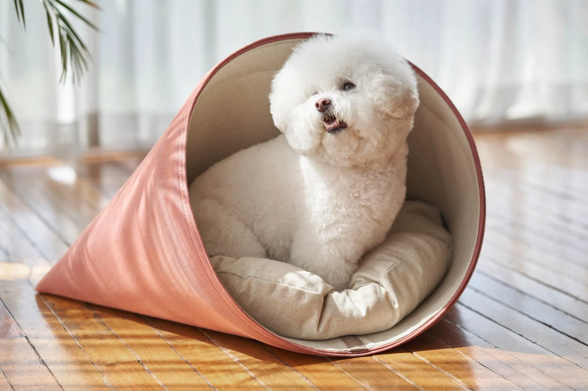 Howly Dog and Cat Bed in Red Carrot