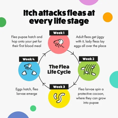 Itch Flea Small Dog Spot-on Flea & Tick Treatment (2-10kg) 3 pipettes
