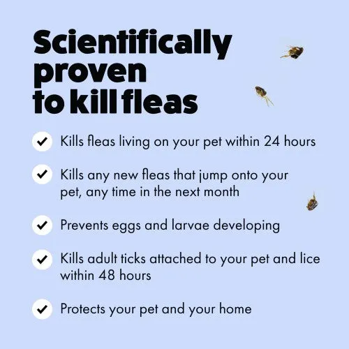 Itch Flea Small Dog Spot-on Flea & Tick Treatment (2-10kg) 3 pipettes