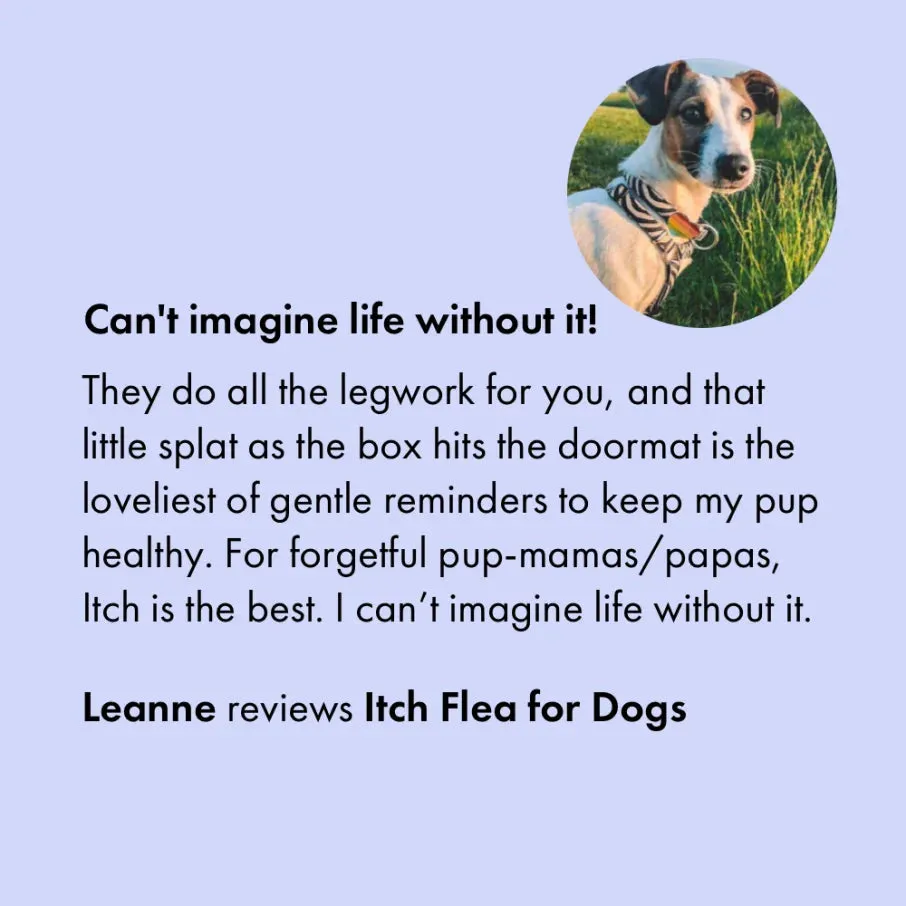Itch. Flea Spot On Treatment for Dogs & Cats