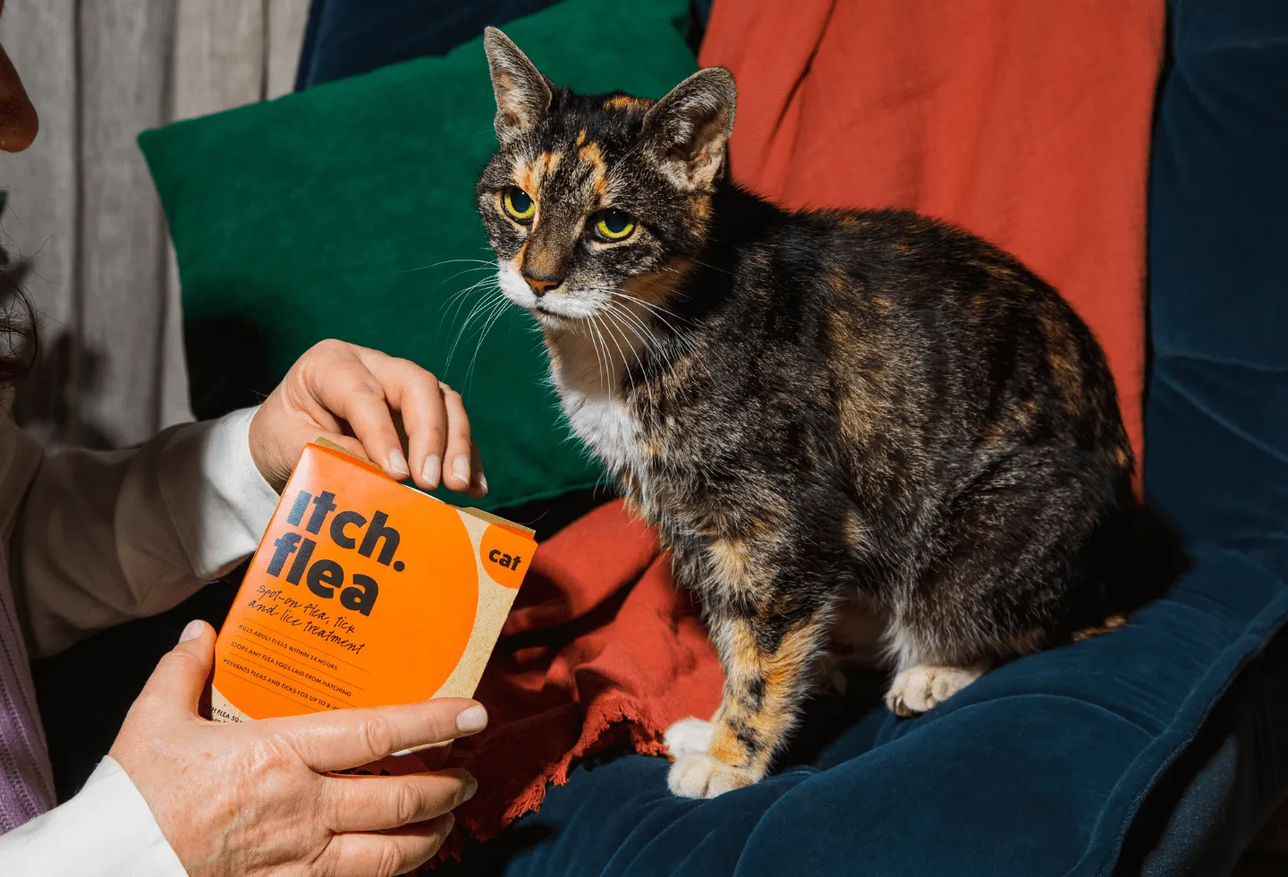 Itch. Flea Spot On Treatment for Dogs & Cats