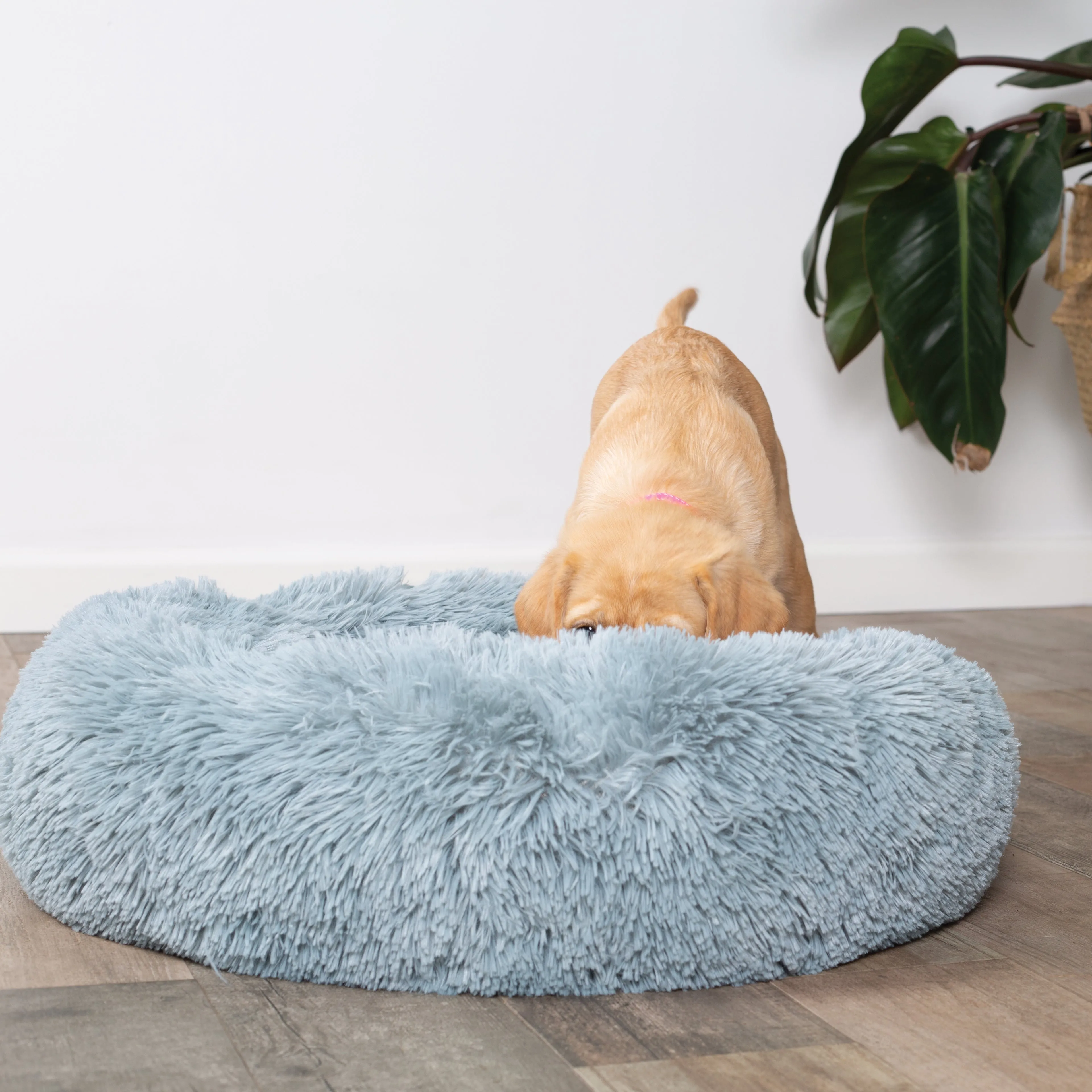 Kitty Peacock Bed - Seafoam