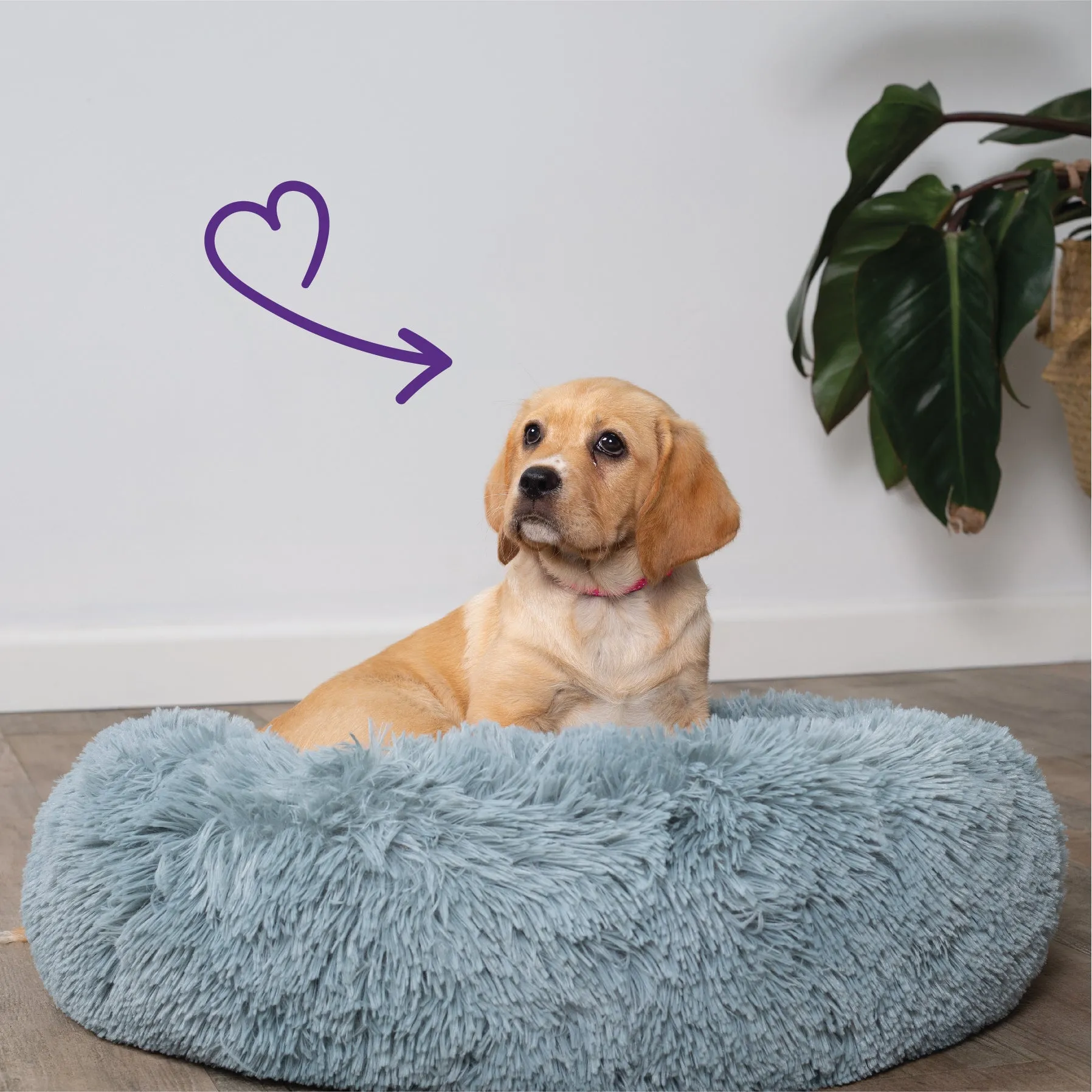 Kitty Peacock Bed - Seafoam