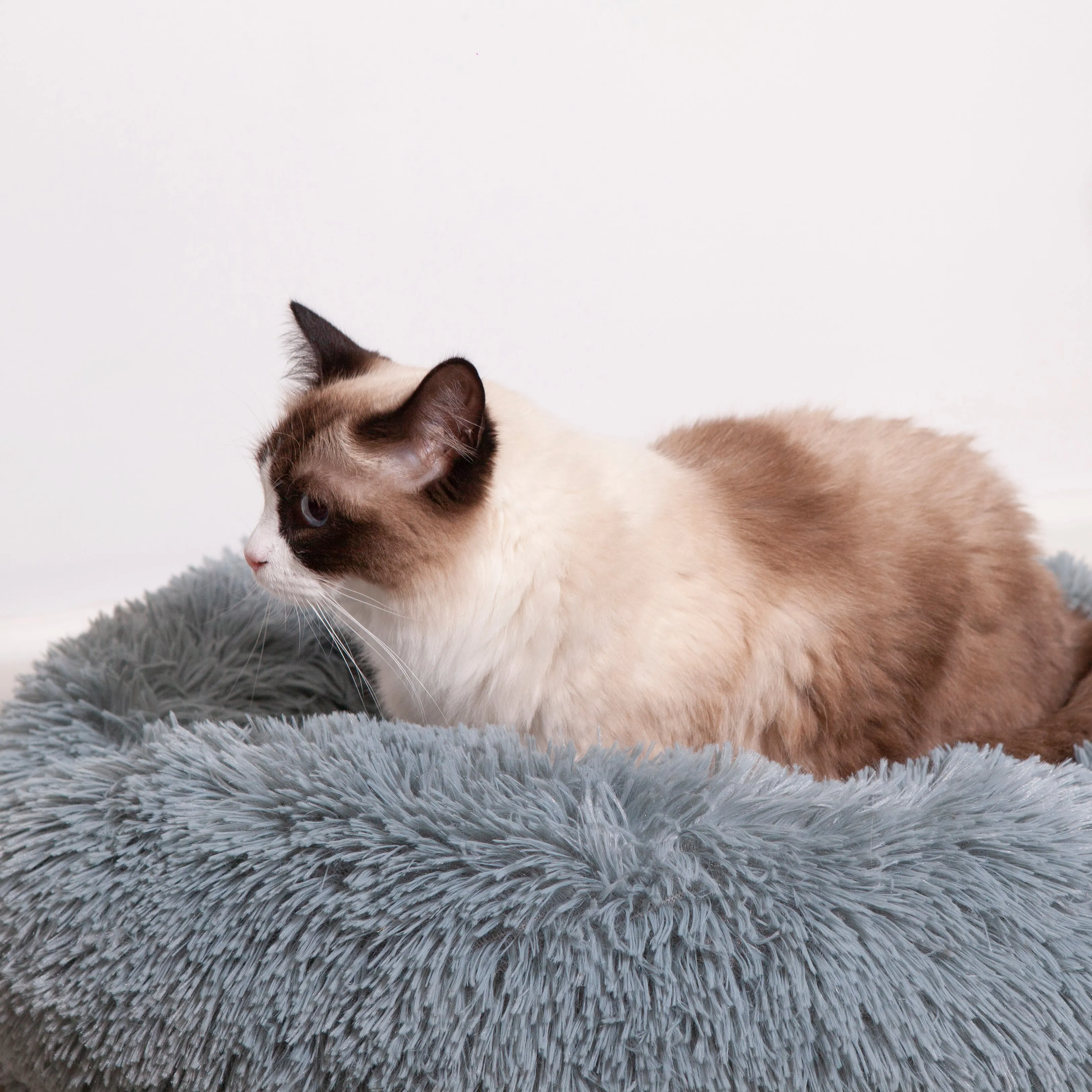 Kitty Peacock Bed - Seafoam