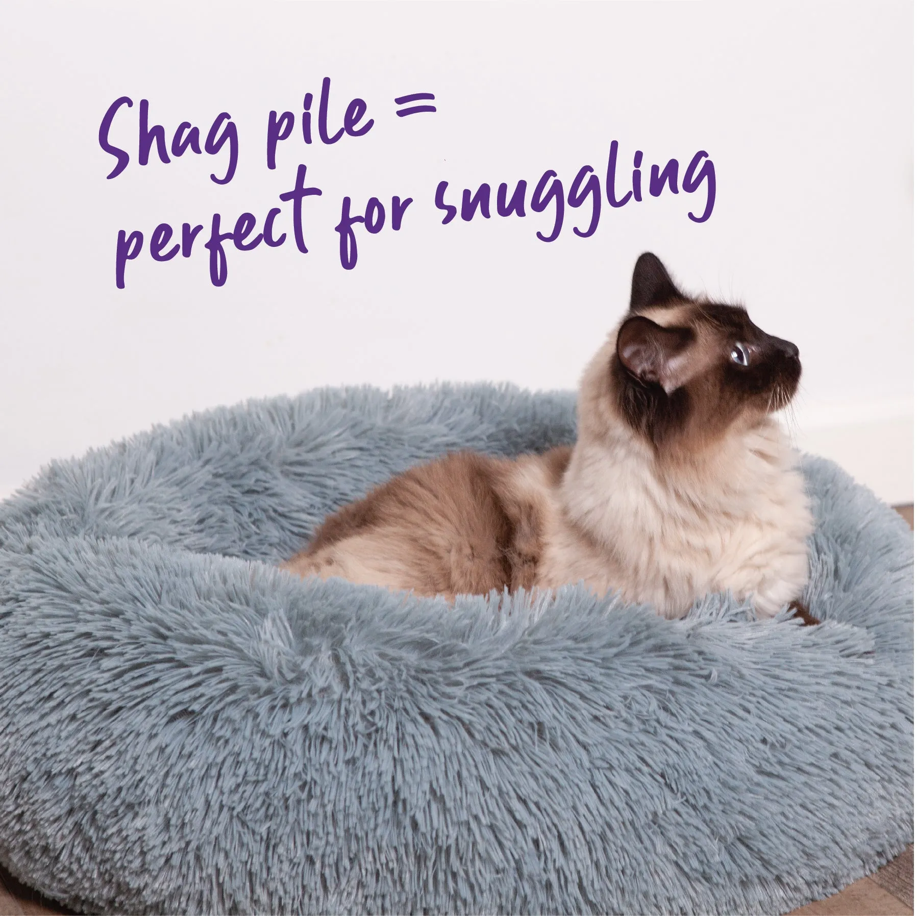 Kitty Peacock Bed - Seafoam