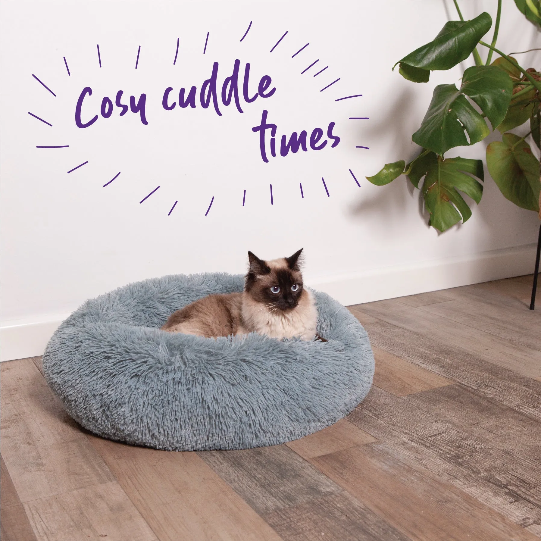 Kitty Peacock Bed - Seafoam