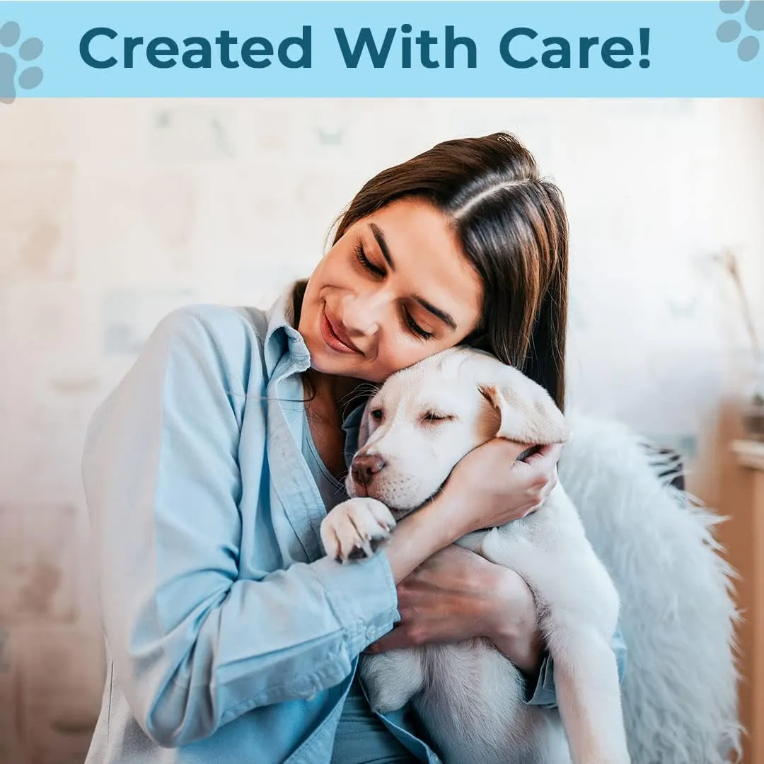 Kuber Industries Dog & Cat Bed|Super Soft Plush Top Pet Bed|Oxford Cloth Polyester Filling|Machine Washable Dog Bed|Rectangular Cat Bed with Rise-Edge Pillow|QY036B-L|Sky Blue (Pack of 3)