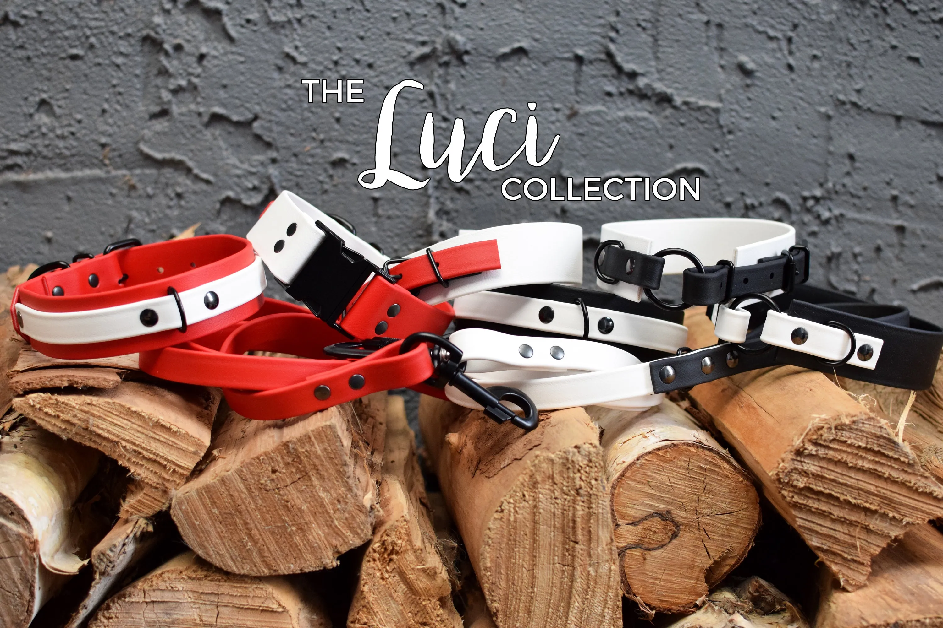 LUCI COLLECTION - Black & White Biothane Dog Collar