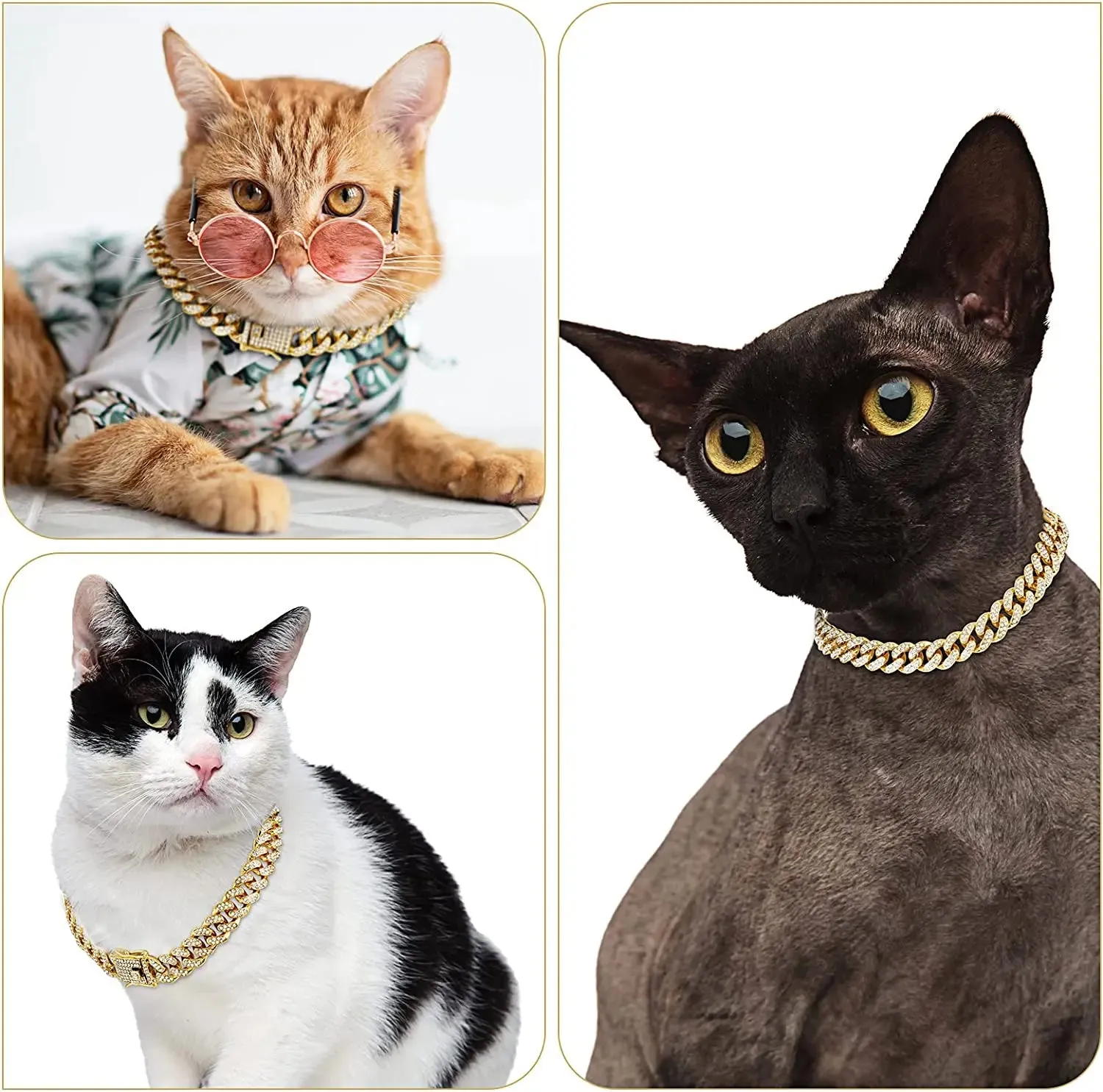 Luxury Gold Dog Chain Collar - Add Elegance and Style to Your Pet's Look