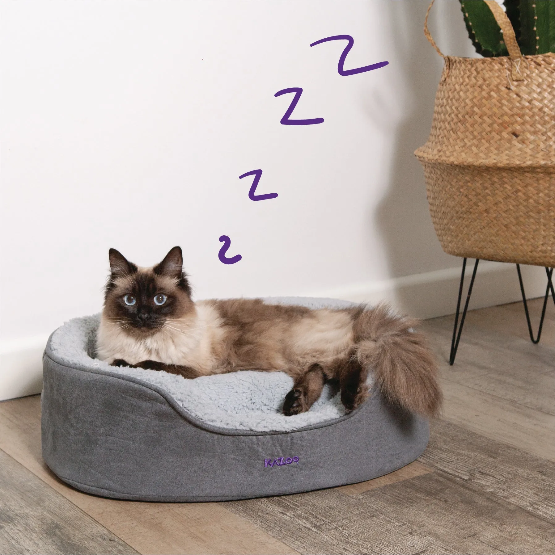 Manhattan Bed - Grey & White - Cat