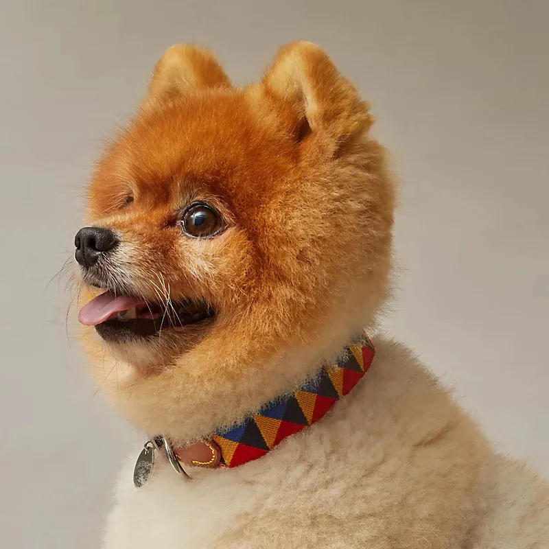 Medor Paille Ii Dog Collar