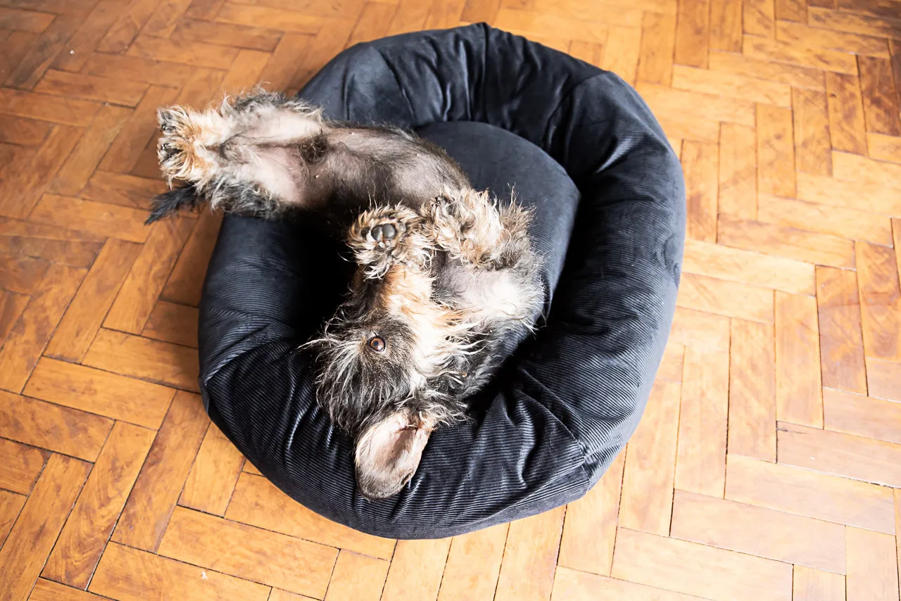 MIDNIGHT BLACK DOG BED