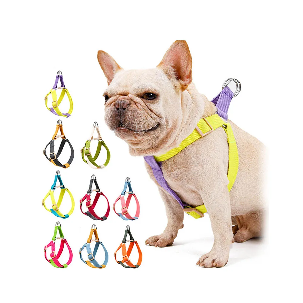 PAWS ASIA Manufacturers Cute Colorful Tough Adjustable Dog Leash Body Harness Set