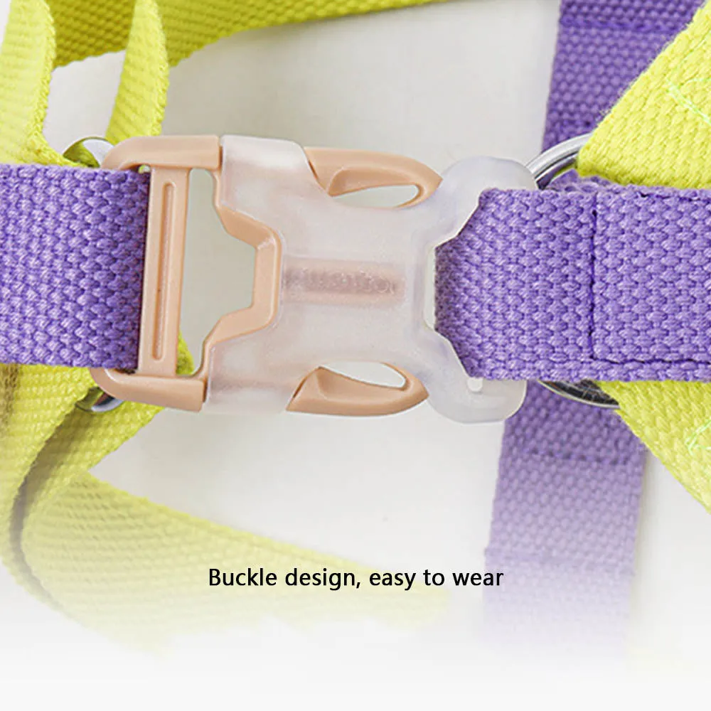 PAWS ASIA Manufacturers Cute Colorful Tough Adjustable Dog Leash Body Harness Set