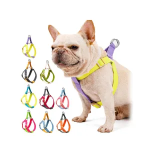 PAWS ASIA Manufacturers Cute Colorful Tough Adjustable Dog Leash Body Harness Set