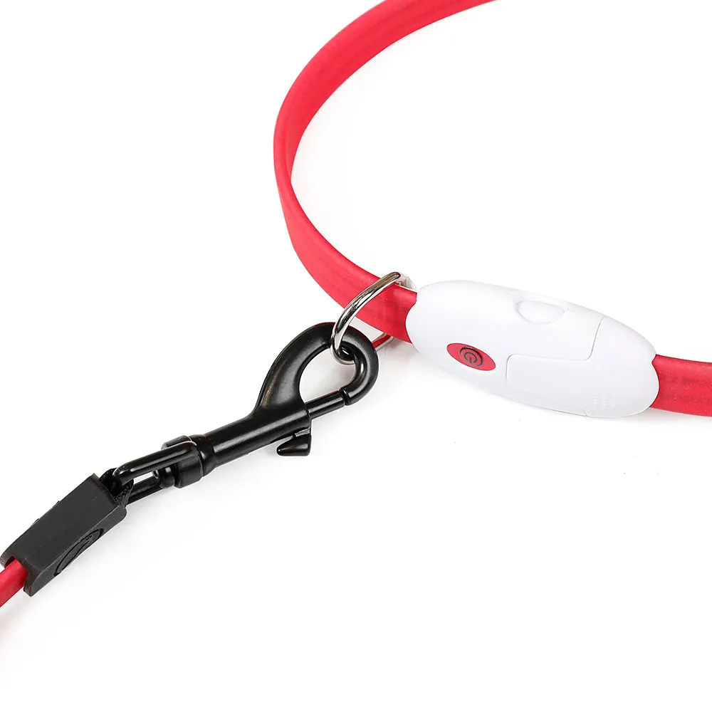 PAWS ASIA Manufacturers High Quality Flash Simple Outdoor Led Dog Leash