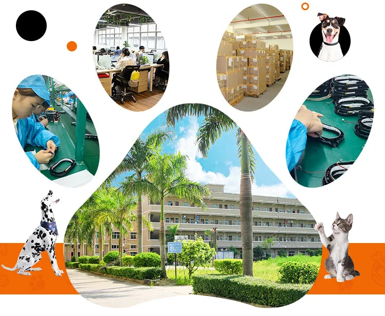 PAWS ASIA Wholesale Cheap Industrial Commercial Rabbit Cage Hamster Breeding